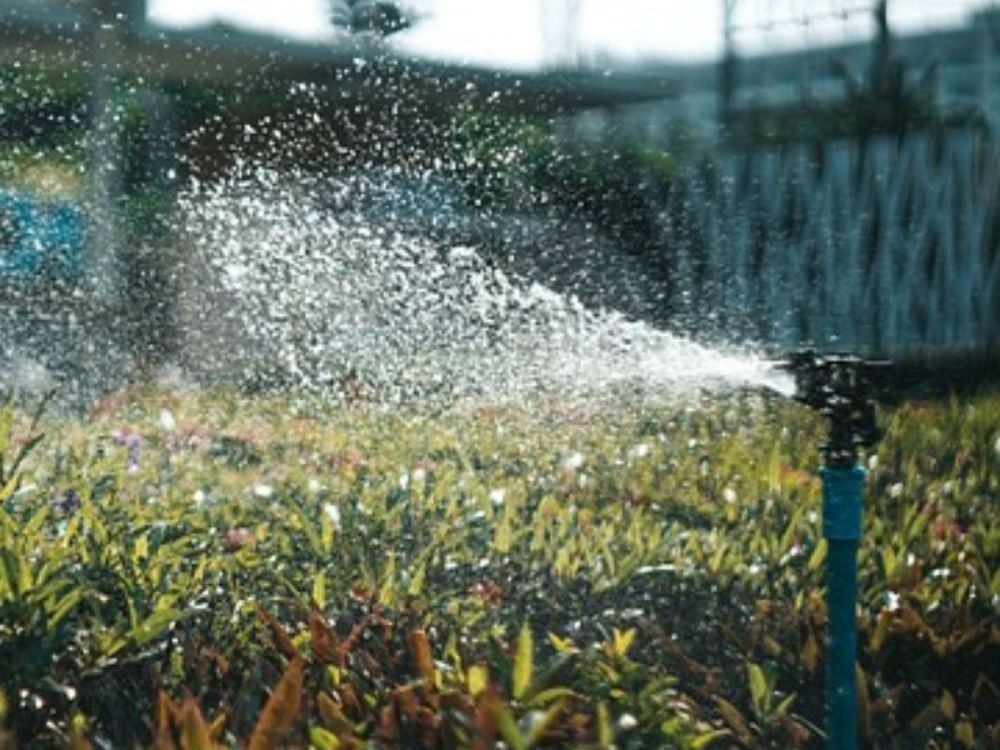 reliable-irrigation-consulting-solutions-for-smart-landscapes-now-big-2