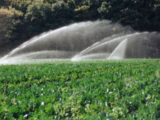 reliable-irrigation-consulting-solutions-for-smart-landscapes-now-small-0