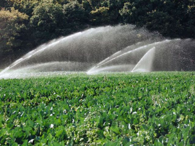 reliable-irrigation-consulting-solutions-for-smart-landscapes-now