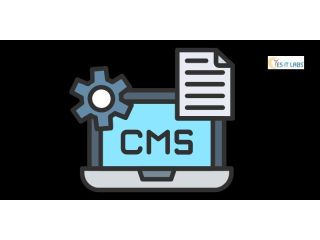 best-cms-development-company-to-power-your-digital-growth-small-0