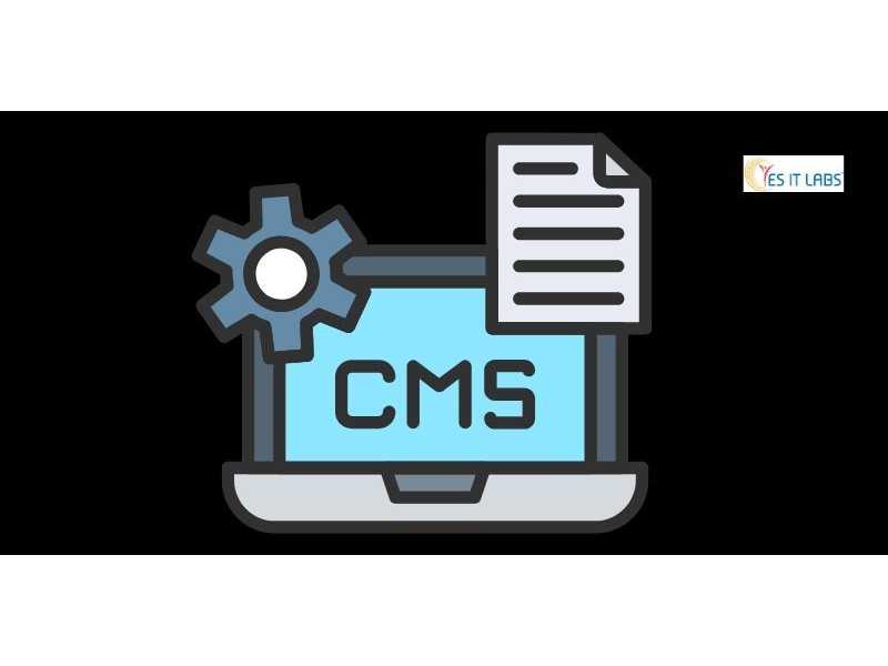 best-cms-development-company-to-power-your-digital-growth-small-0