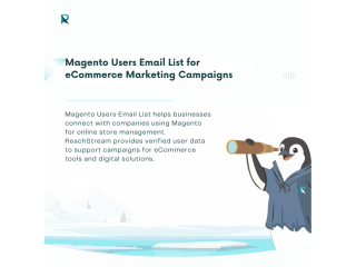 get-magento-users-email-list-for-ecommerce-marketing-small-0