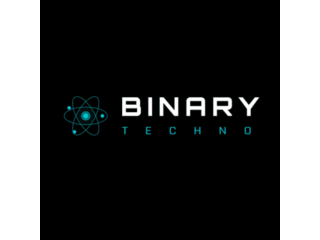 binary-techno-web-design-company-in-india-small-0