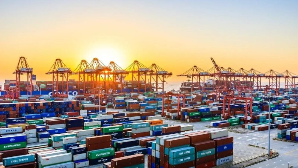 reliable-customs-brokerage-services-you-can-count-on-big-0