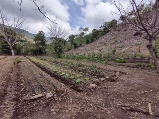 massive-mountain-estate-for-sale-salitral-santa-ana-costa-rica-small-2