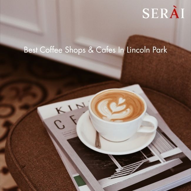 coffee-shops-around-lincoln-park-big-0