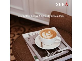 coffee-shops-around-lincoln-park-small-0