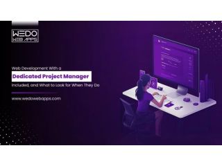 web-development-services-with-dedicated-project-manager-small-0