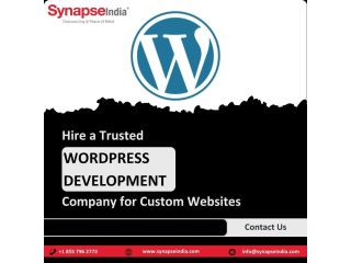 hire-a-trusted-wordpress-development-company-for-custom-websites-small-0