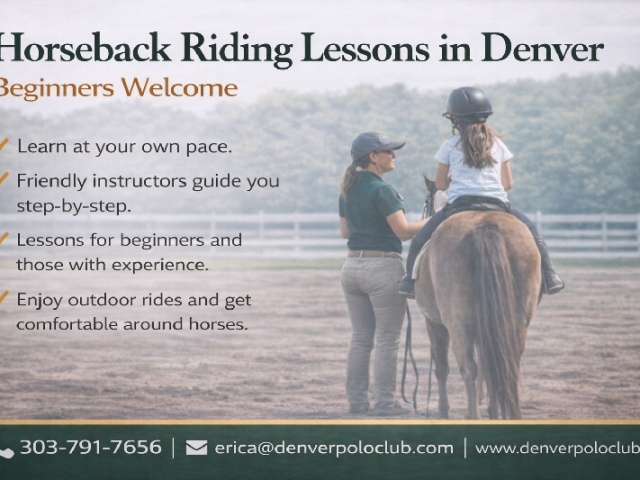 horseback-riding-lessons-in-denver-beginners-welcome