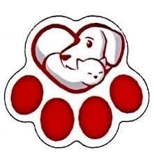 trusted-veterinary-hospital-las-vegas-compassionate-pet-care-big-0