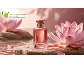 best-pink-lotus-absolute-oil-premium-quality-pure-extract-small-0