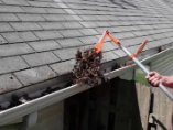 gutter-leak-maintenance