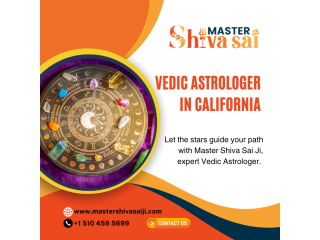 vedic-astrologer-specialists-in-california-small-0