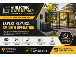 fast-electric-gate-repairs-automation-naples-small-0
