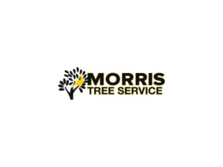 hudson-tree-services-for-safe-and-efficient-tree-care-small-0
