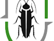 pest-control-adelaide-fast-safe-trusted-service