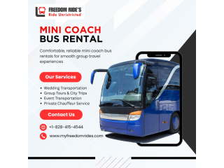 boutique-mini-coach-bus-rental-for-weddings-and-private-parties-small-0
