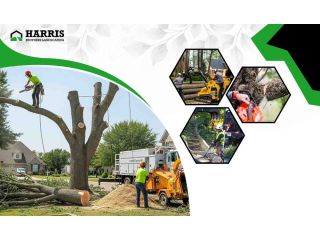 atcos-tree-service-experts-ehack-academy-small-0