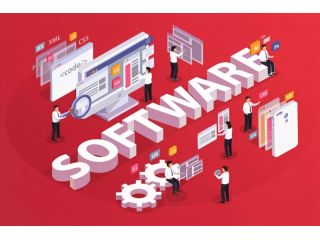 want-custom-software-application-development-for-faster-growth-small-0