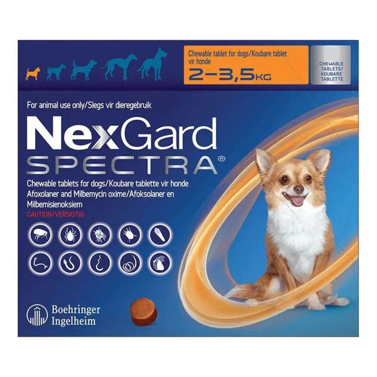 nexgard-spectra-chewables-for-dogs-starts-at-3765-big-0