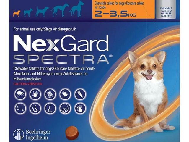 nexgard-spectra-chewables-for-dogs-starts-at-3765