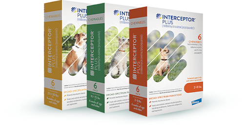 buy-interceptor-plus-for-dogs-up-to-30-off-petcareclub-big-1
