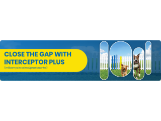 buy-interceptor-plus-for-dogs-up-to-30-off-petcareclub-small-0