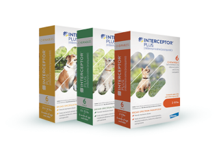 buy-interceptor-plus-for-dogs-up-to-30-off-petcareclub-small-1