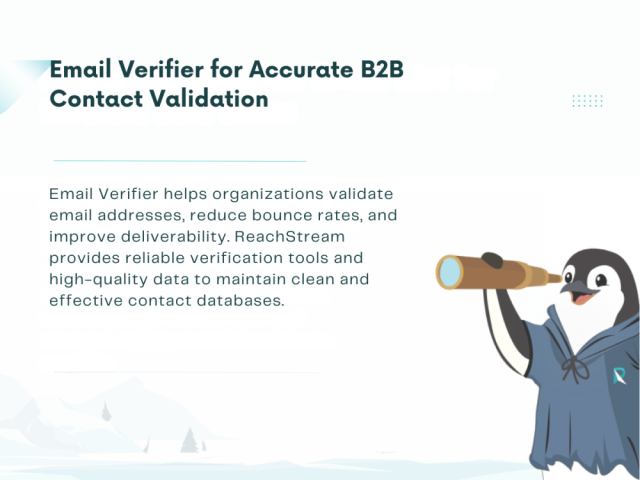 access-email-verifier-for-accurate-email-validation