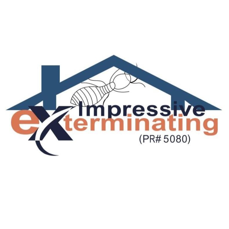 impressive-exterminating-pest-control-termite-big-0