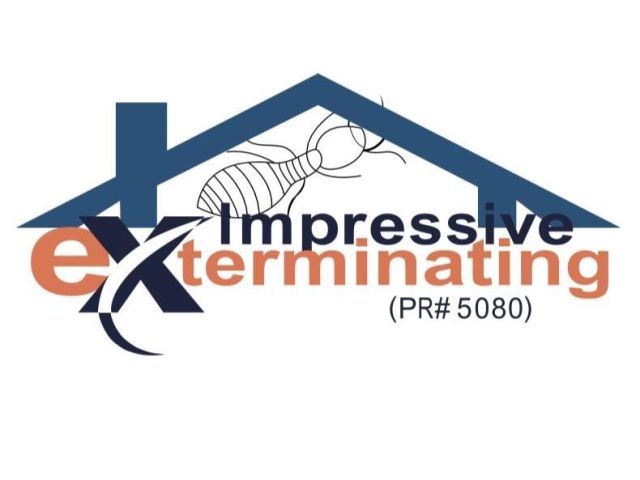 impressive-exterminating-pest-control-termite