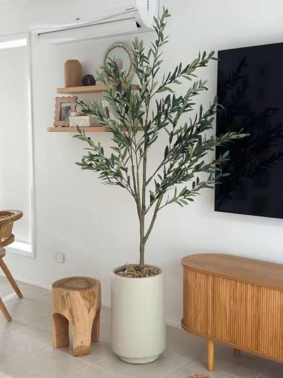 artificial-plants-sydney-big-0