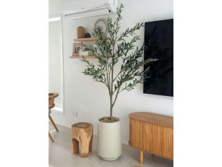 artificial-plants-sydney-small-0