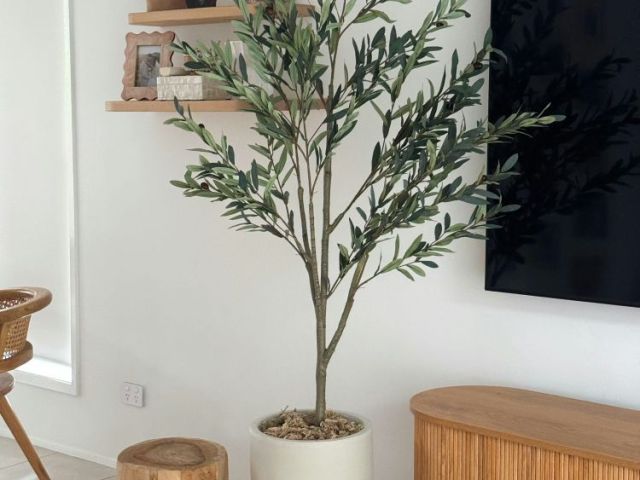artificial-plants-sydney