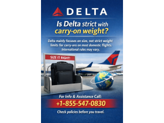 is-delta-strict-with-carry-on-weight-small-0