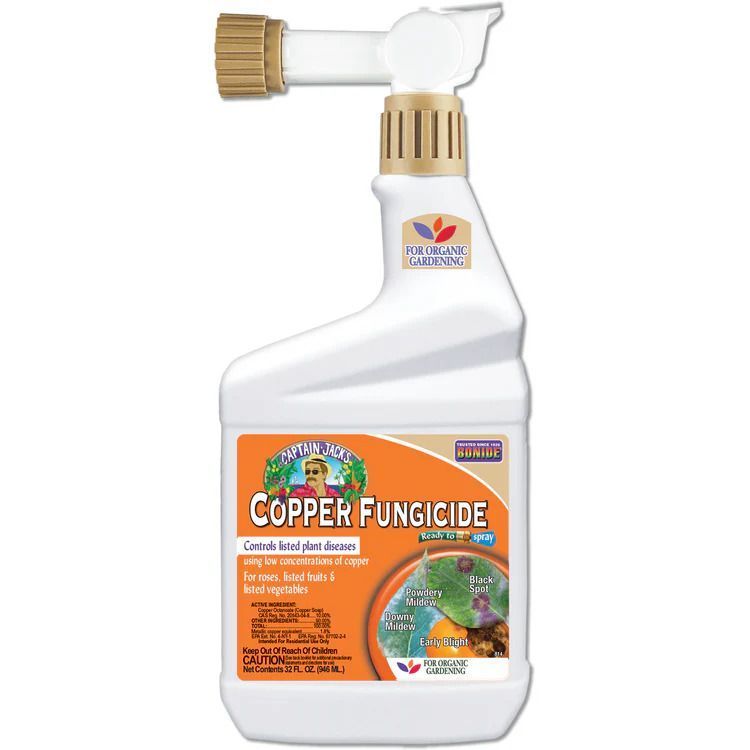 when-to-use-liquid-copper-fungicide-spray-big-0