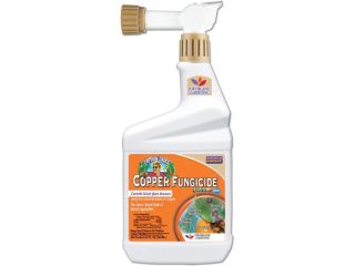 when-to-use-liquid-copper-fungicide-spray-small-0