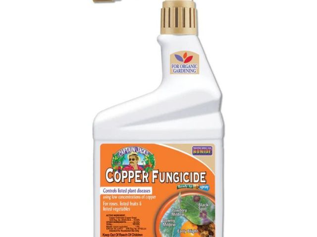 when-to-use-liquid-copper-fungicide-spray
