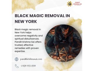 best-black-magic-removal-in-new-york-by-pandit-krishna-sai-small-0