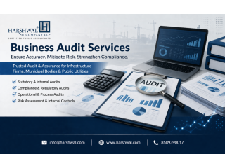 accurate-independent-business-audit-services-small-0