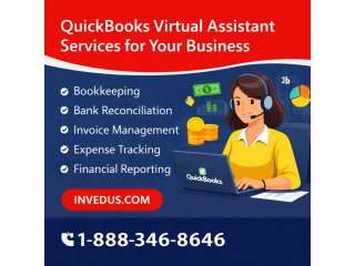 expert-quickbooks-virtual-assistant-for-business-management-small-0