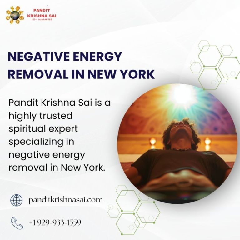 negative-energy-removal-in-new-york-by-pandit-krishna-sai-big-0
