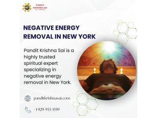 negative-energy-removal-in-new-york-by-pandit-krishna-sai-small-0