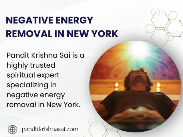 negative-energy-removal-in-new-york-by-pandit-krishna-sai