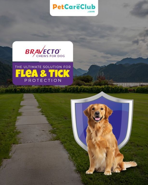 bravecto-chews-for-dogs-flea-tick-protection-petcareclub-big-0