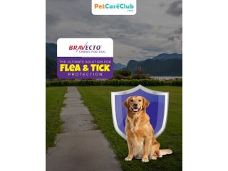 bravecto-chews-for-dogs-flea-tick-protection-petcareclub-small-0