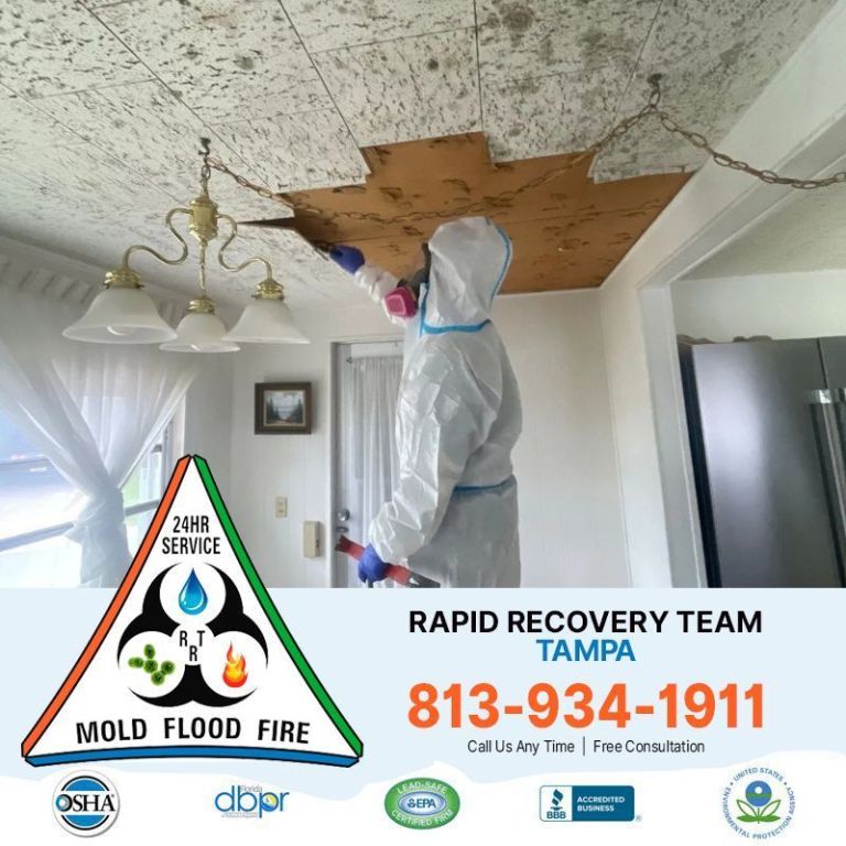 mold-inspection-tampa-florida-for-accurate-detection-big-0