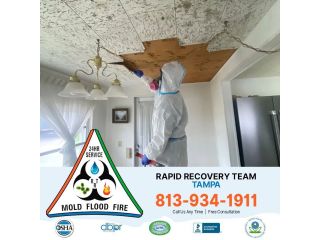 mold-inspection-tampa-florida-for-accurate-detection-small-0