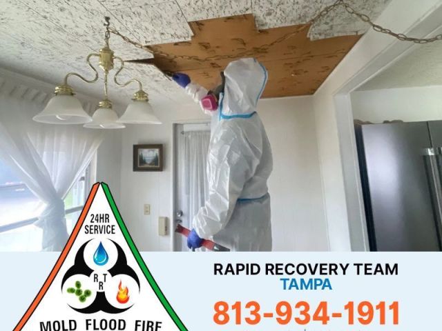 mold-inspection-tampa-florida-for-accurate-detection